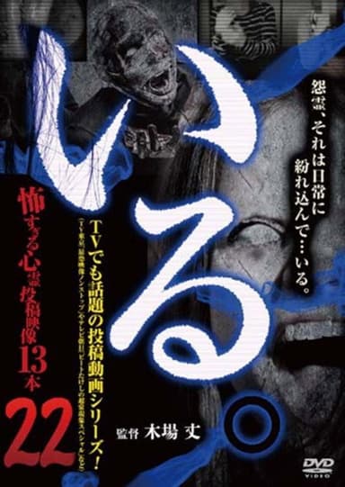 「Iru.」~ Kowasugiru Tōkō Eizō 13-hon ~ Vol.22 poster