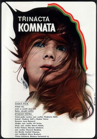 The Thirteenth Chamber poster