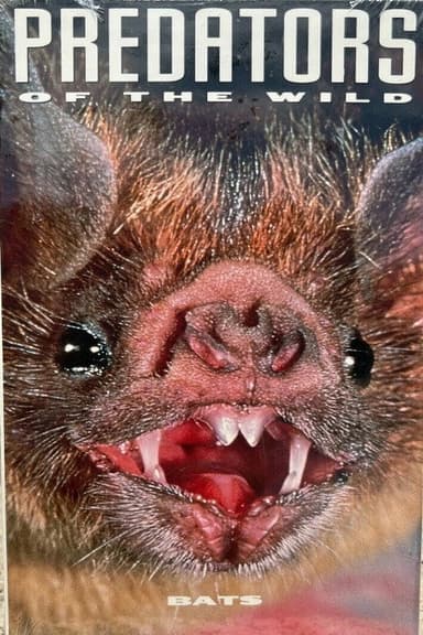 Predators of the Wild: Bats poster
