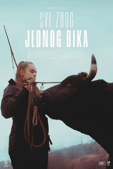 About a Bull poster