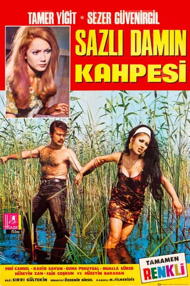 Sazlı Damın Kahpesi poster