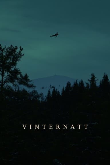 Vinternatt poster