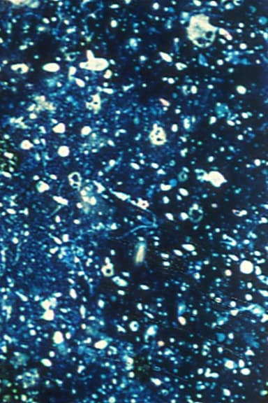 Ephemeral Solidity poster