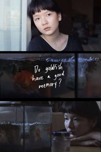 Do Goldfish Have a Good Memory? poster