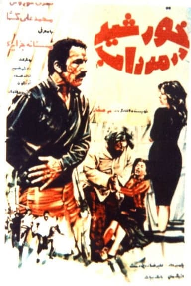 The sun in the swamp poster