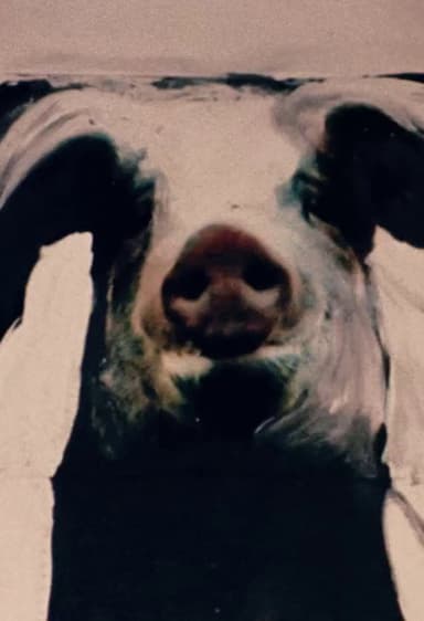 The Trail of the Pig poster