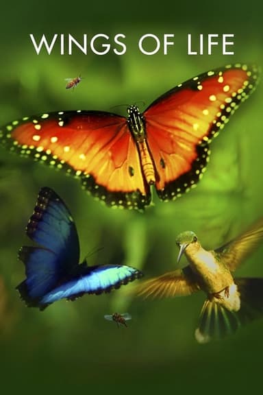 Wings of Life poster