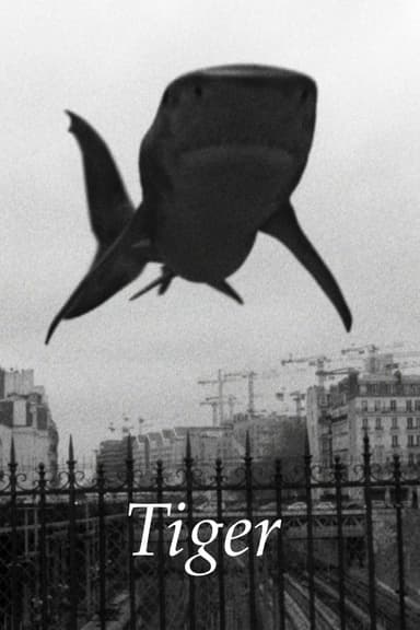 Tiger poster