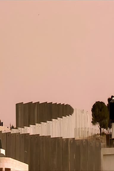 Palestine in Fragments poster