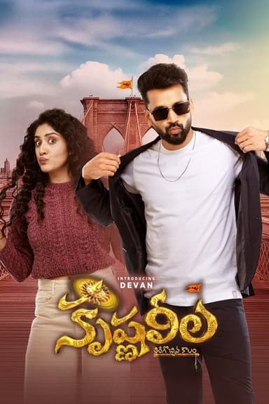 Krishna Leela poster
