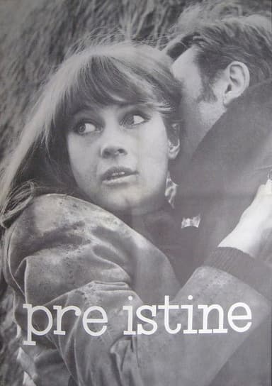Before the Truth poster