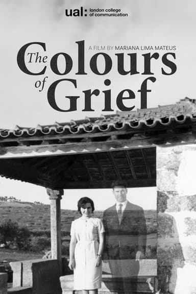 The Colours of Grief poster