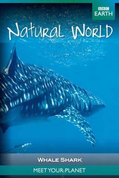 Whale Shark poster