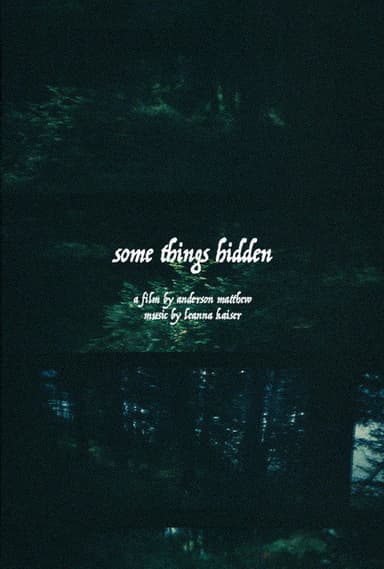 Some Things Hidden poster