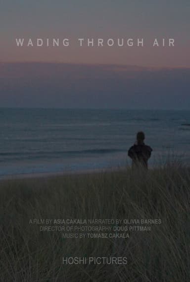 Wading Through Air poster