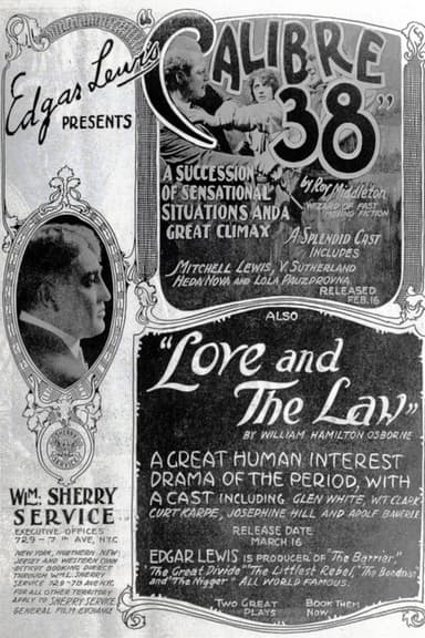 Calibre 38 poster