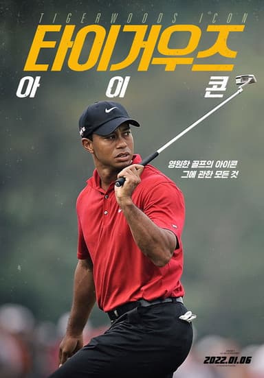 Tiger Woods: Icon poster