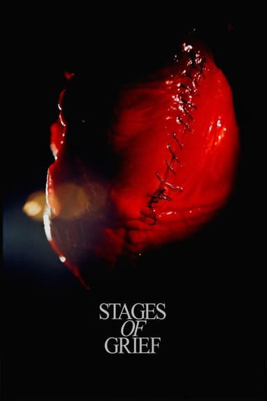 Stadier af sorg poster