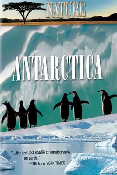 Under Antarctic Ice poster