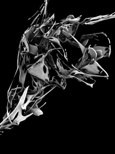 _grau poster