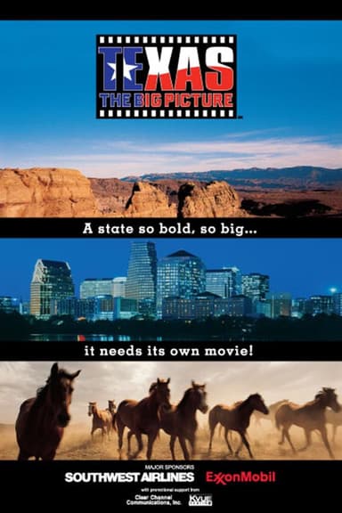 Texas: The Big Picture poster