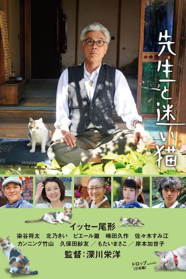 Teacher and Stray Cat poster