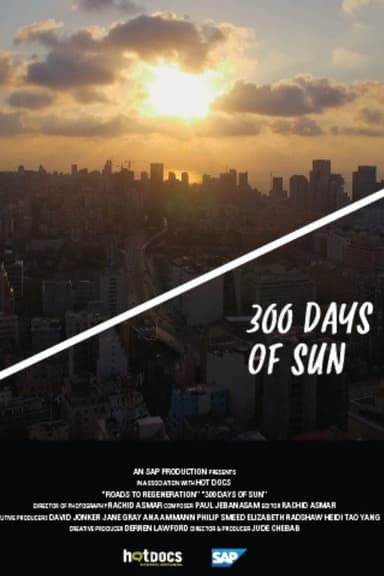 300 Days of Sun poster