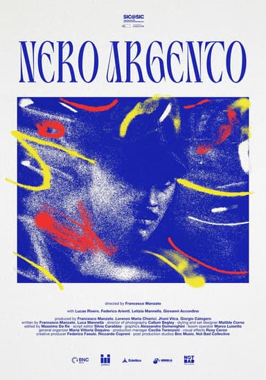 Black Silver poster
