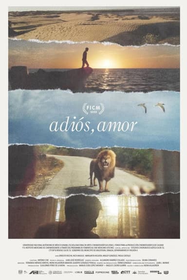 Goodbye, Love poster