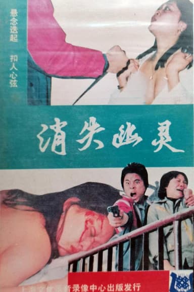 The Disappeared Ghost poster