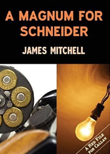 A Magnum for Schneider poster
