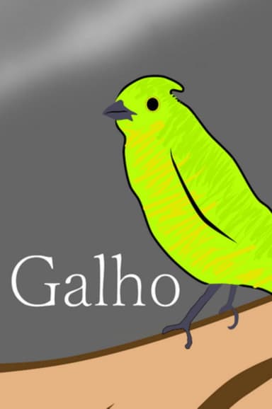 Galho poster