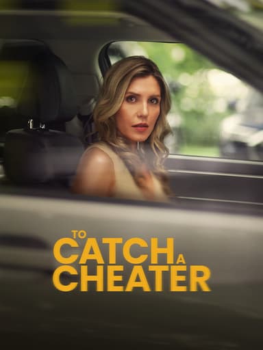 To Catch a Cheater poster