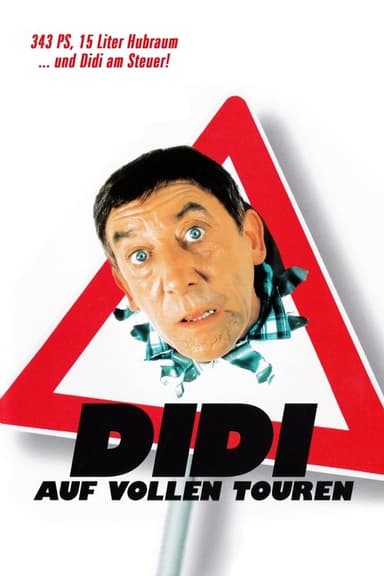 Didi Drives Me Crazy poster