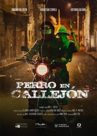 Perro en callejón poster