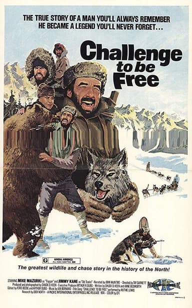 Challenge to be Free poster