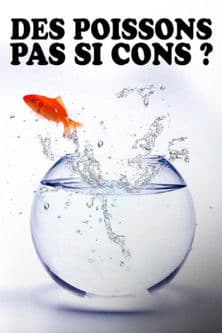 Des poissons, pas si cons ? poster