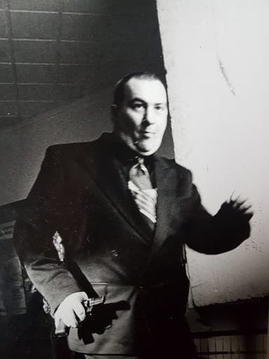 Herman the Gangster poster