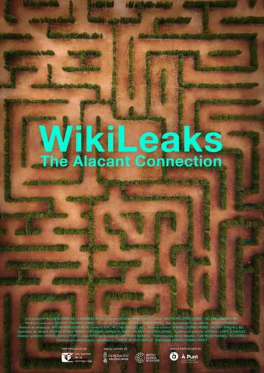 Wikileaks. The Alacant connection poster