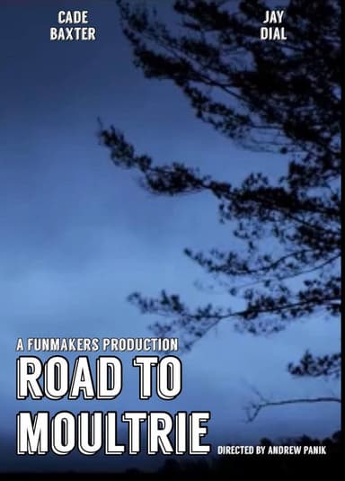 Road to Moultrie poster