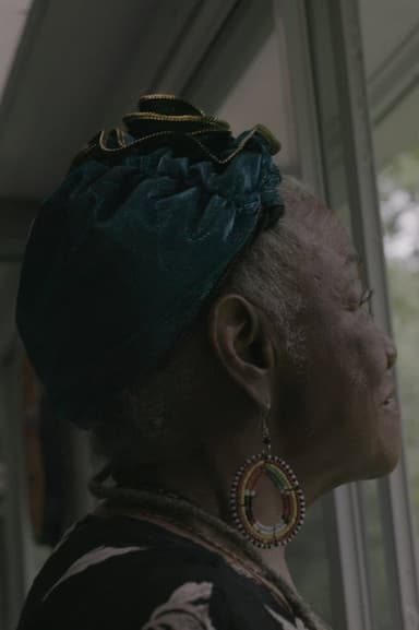 The Ancestors Came poster