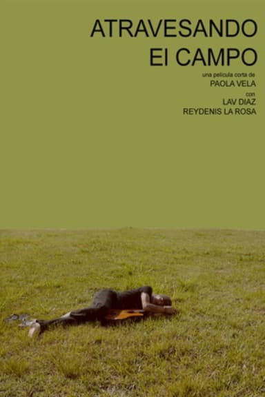Atravesando el campo poster