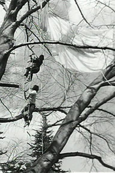 Tree Dance poster