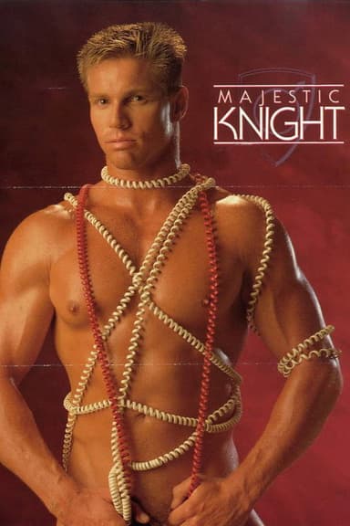 Majestic Knights poster