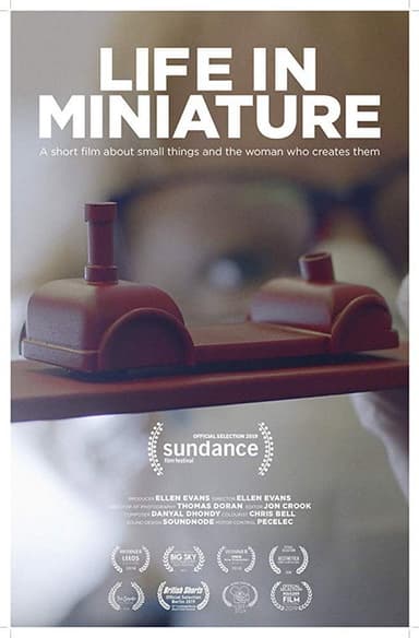Life in Miniature poster