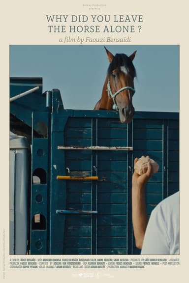 Why Did You Leave the Horse Alone? poster