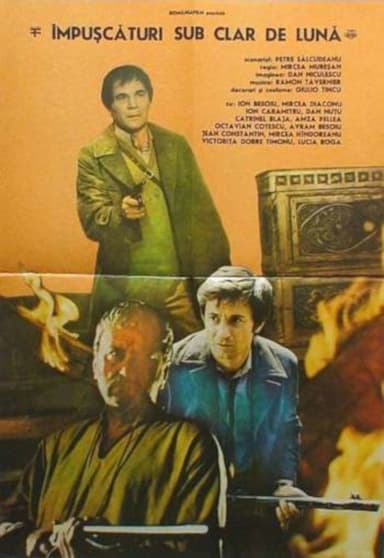 Shootings Under the Moonlight poster