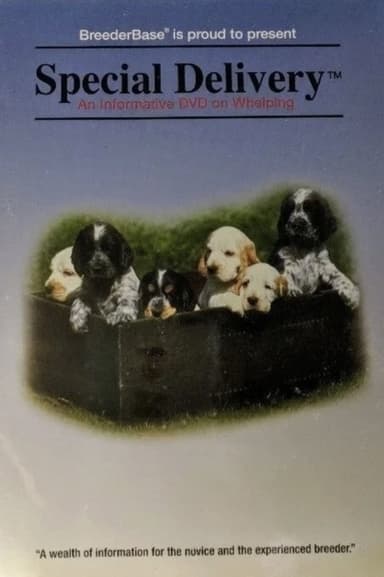 Special Delivery poster