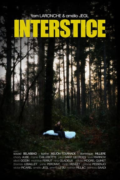 INTERSTICE poster