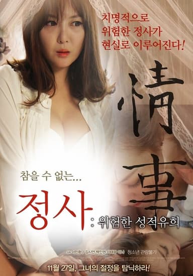 An Affair: A Dangerous Sexual Play poster